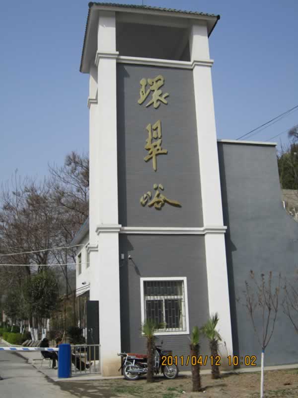 羰