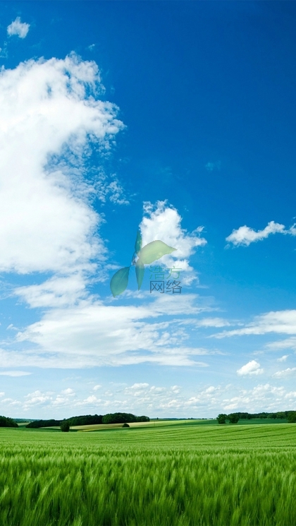 WZ125Cֻվ